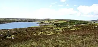 Image illustrative de l’article Pobull Fhinn