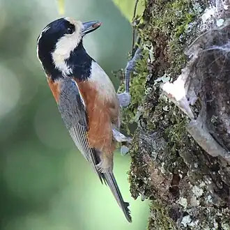 Description de cette image, également commentée ci-après