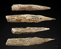 Poinçon sur os abrasé – Gravettien - coll. Félix Régnault – MHNT.