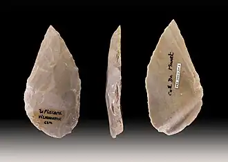 Pointe Moustérienne retrouvée à la Grotte du Placard(collection Muséum de Toulouse)