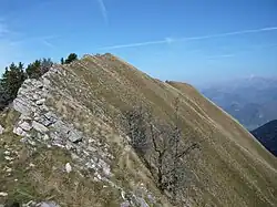 La pointe de Vélan.