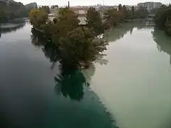 La Pointe de la Jonction à Genève — Le Rhône et l'Arve.