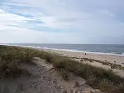 Dunes à la Pointe de Grave, au Verdon-sur-Mer (Gironde)