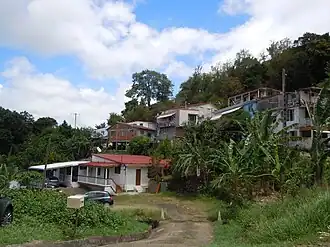 Poirier (Rivière-Pilote)