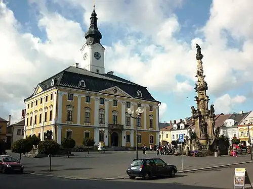 Hôtel de ville et colonne mariale.