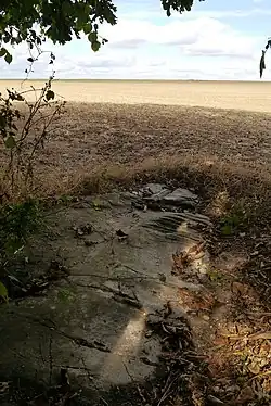 Image illustrative de l’article Polissoir de Grimery