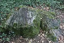 Pierre aux dix doigts