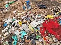 Pollution à la Réserve Naturelle Urbaine de la grande Niaye de Pikine et dépendance