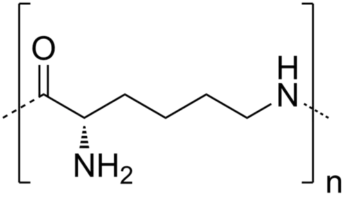 ε-Poly-L-lysine (EPL).