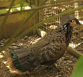 Description de cette image, également commentée ci-après