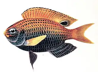 Description de cette image, également commentée ci-après