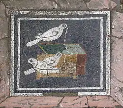 Mosaïque représentant des colombes et un coffre à bijoux (représentation de la richesse), maison du Faune.