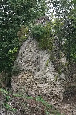 Restes du pont-siphon des Planches, à Écully.