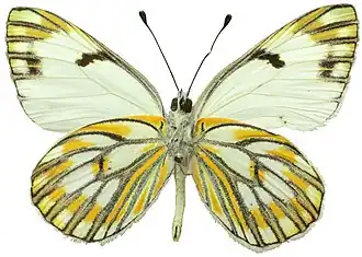 Description de cette image, également commentée ci-après