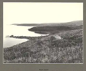 Image illustrative de l’article Île Popof