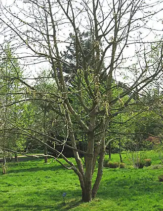 Description de cette image, également commentée ci-après