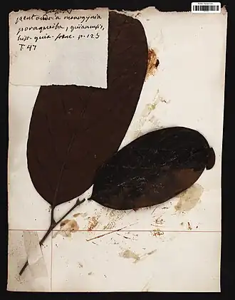 Description de cette image, également commentée ci-après