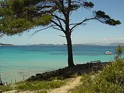 Paysage porquerollais.