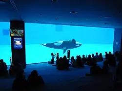 Aquarium du port de Nagoya