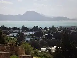 Vue des ports puniques de Carthage depuis la colline de Byrsa