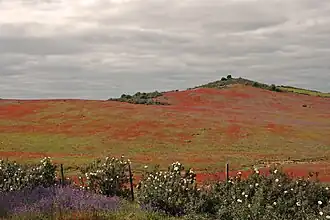 São João dos Caldeireiros