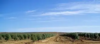 Nossa Senhora das Neves