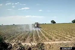Défanage thermique d'un champ de pommes de terre