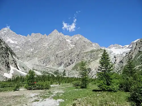 Barre des Écrins vu depuis le pré de Madame Carle.