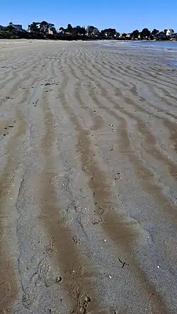 Précipité de sédiments en milieu salin, sous l'effet de la houle.