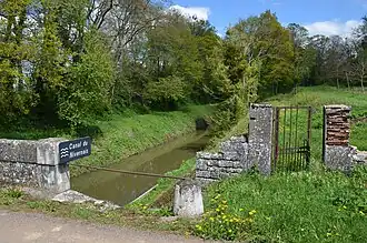 Près de l'étang de Baye, Bazolles, Nièvre.