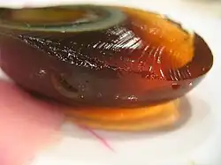 Le blanc est ocre transparent.