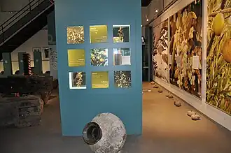 Pressoir et jarres pour l'huile d'olive.