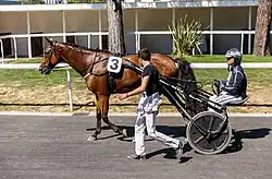 Photo d'un driver sur un sulky dirigeant un cheval à la robe bai portant le numéro 3. Un homme marche à leur côté.
