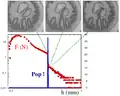 Cavitation et digitation dans un fluide visqueux : force, son et ouverture des cavités. Cavitation et digitation dans un fluide visqueux (PDMS de viscosité 1&nbsp;000&nbsp;Pa&nbsp;s) sous traction entre deux plaques rigides. Les cavités sont déconnectées de l'extérieur et ont une pression faible. À un moment donné, un doigt d'air atteint soudainement les cavités et les emplit d'air. À ce moment-là, la force mesurée chute brutalement (courbe rouge) et un bruit très bref est enregistré (pic bleu)