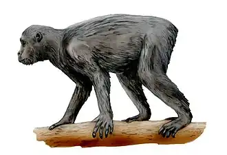 Description de cette image, également commentée ci-après