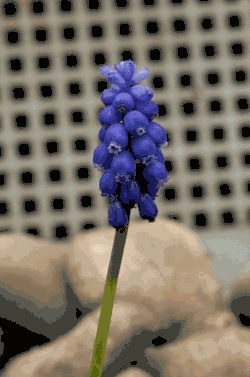 Selon le but de la prise de vue, c'est l'une ou l'autre des photos qui sera préférée.