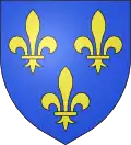 Blason