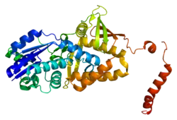 Description de cette image, également commentée ci-après