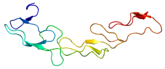 Image illustrative de l’article CD40