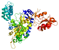 Description de cette image, également commentée ci-après