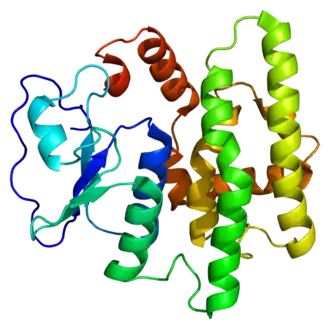 Image illustrative de l’article GSTO1