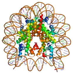 Image illustrative de l’article H2AZ