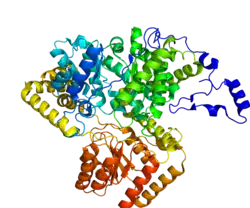 Description de cette image, également commentée ci-après