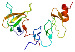 Image illustrative de l’article NCK2