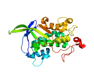 Image illustrative de l’article NPC1