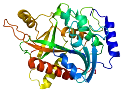 Description de cette image, également commentée ci-après