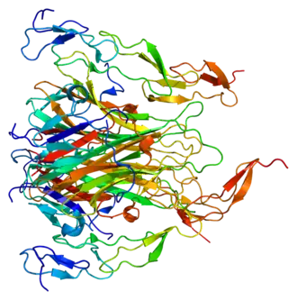Image illustrative de l’article TRAIL