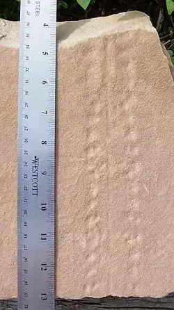 voir la légende ci-après