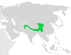 Carte de la répartition de l'Accenteur à poitrine rousse, répandu dans toute l'Himalaya d'est en ouest.