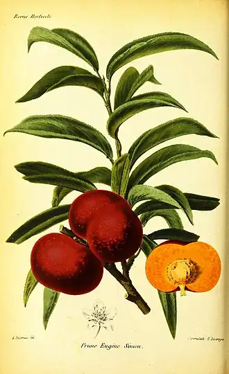 Description de cette image, également commentée ci-après